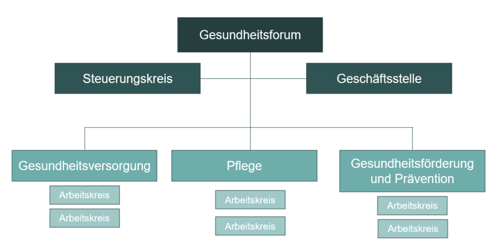 Aufbau der Gesundheitsregion/Gesundheitsregionplus