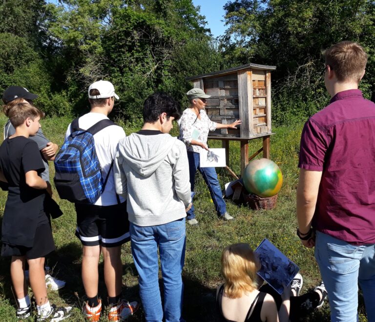 Wildbienen mit der Klasse entdecken, Foto: Mahr
