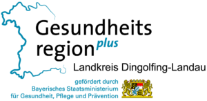 Gesundheitsregionplus